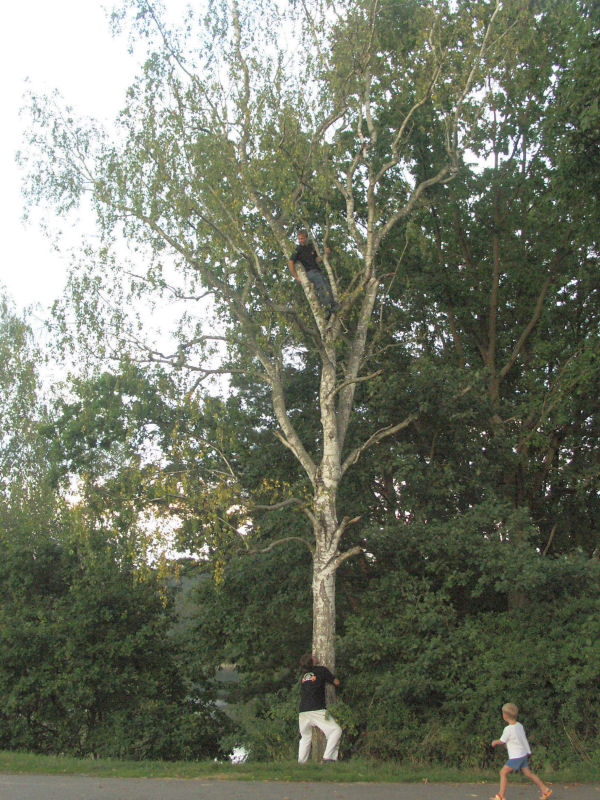 mb080801189.jpg